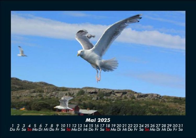 Produktbild: Nordsee 2025 Fotokalender DIN A5