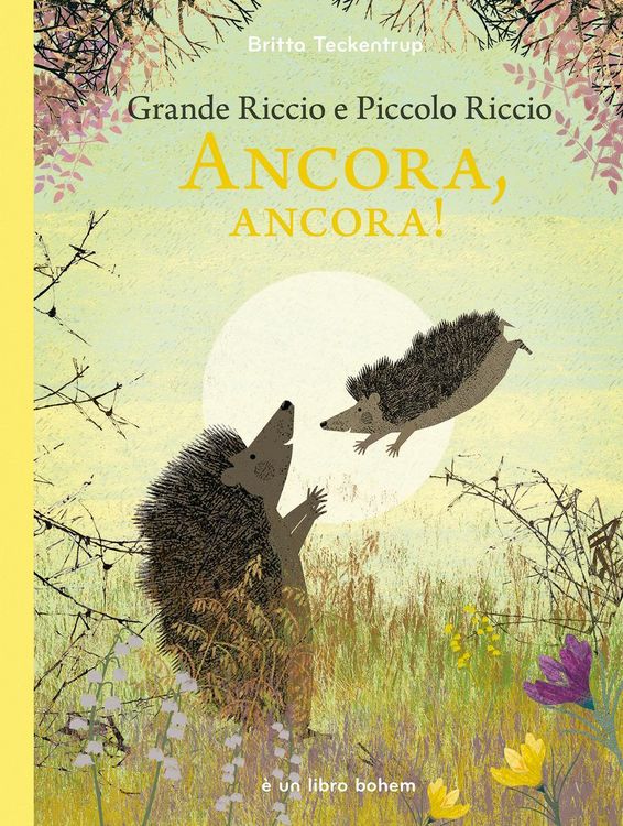Produktbild: Grande riccio e piccolo riccio. Ancora, ancora!