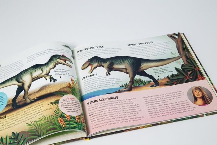 Produktbild: Als Gott die Dinosaurier schuf