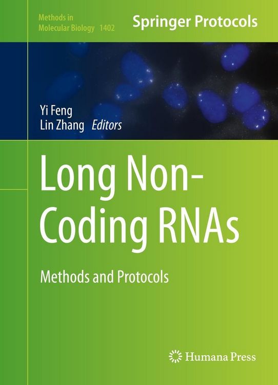 Produktbild: Long Non-Coding RNAs