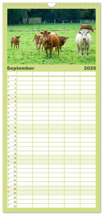Produktbild: Familienplaner 2026 - Die Kuh macht Muuuh! mit 5 Spalten (Wandkalender, 21 x 45 cm) CALVENDO