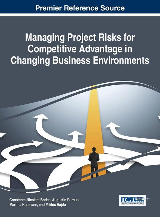 Produktbild: Managing Project Risks for Competitive Advantage in Changing Business Environments