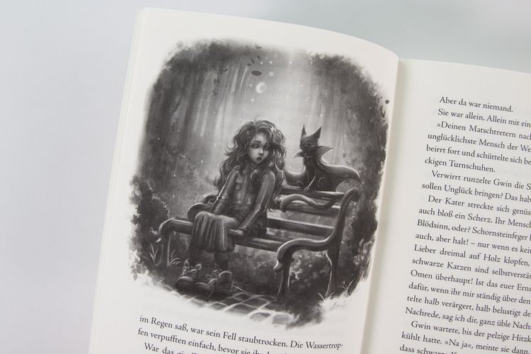 Produktbild: Gwin und das Herz des Drachen (Band 1)