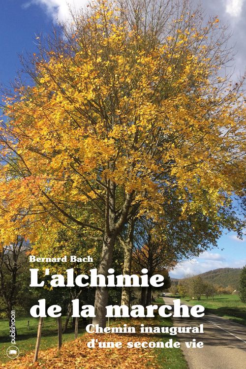 Produktbild: L'alchimie de la marche