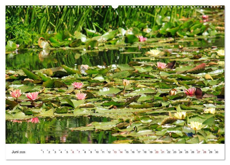 Produktbild: Normandie - zwischen Land und Meer (Wandkalender 2026 DIN A2 quer), CALVENDO Monatskalender