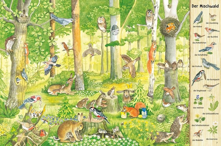 Produktbild: Mein gro&szlig;es Natur-Wimmelbuch