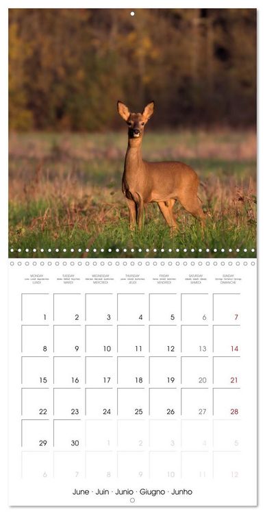 Produktbild: Les couleurs de la Vienne (Calendrier mural carr&eacute; 2026 30x30 cm) Calendrier double avec une page pour vos prises de notes