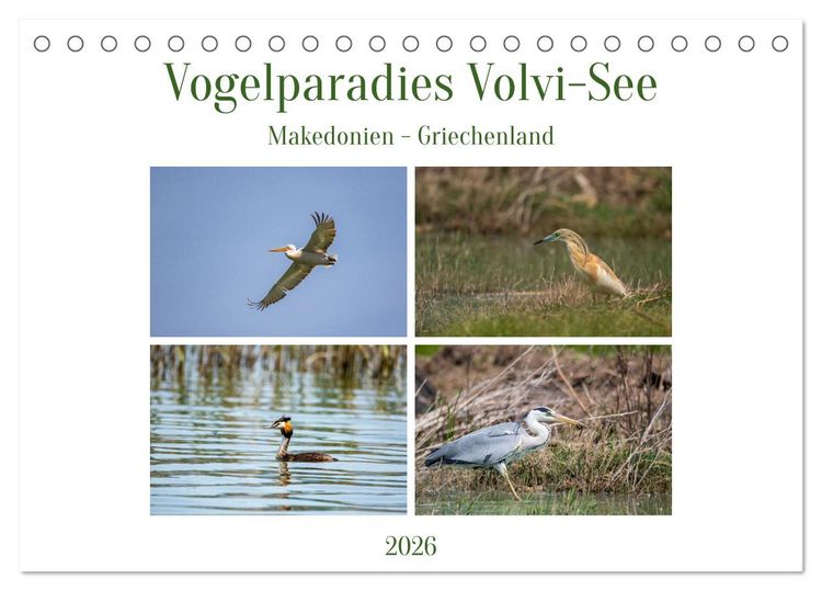 Produktbild: Vogelparadies Volvi-See (Tischkalender 2026 DIN A5 quer), CALVENDO Monatskalender
