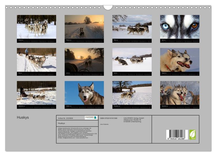 Produktbild: Huskys (Wandkalender 2026 DIN A3 quer), CALVENDO Monatskalender