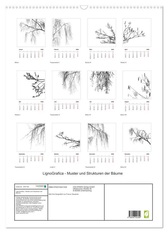 Produktbild: LignoGrafica - Muster und Strukturen der B&auml;ume (Wandkalender 2026 DIN A2 hoch), CALVENDO Monatskalender