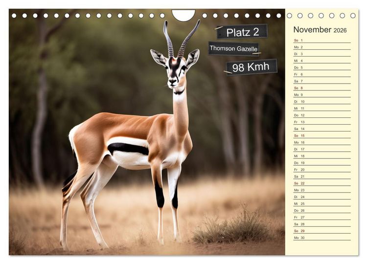 Produktbild: Wer rennt am schnellsten? (Wandkalender 2026 DIN A4 quer), CALVENDO Monatskalender