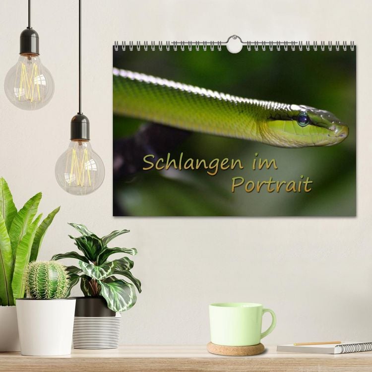 Produktbild: Schlangen im Portrait (Wandkalender 2026 DIN A4 quer), CALVENDO Monatskalender