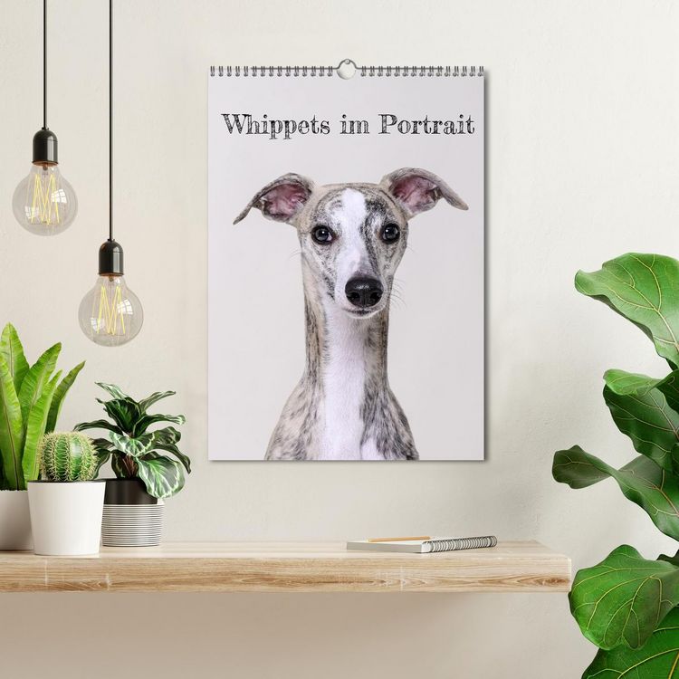 Produktbild: Whippets im Portrait (Wandkalender 2026 DIN A3 hoch), CALVENDO Monatskalender