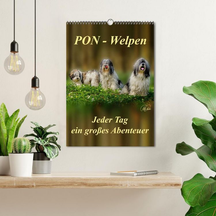 Produktbild: PON-Welpen - jeder Tag ein gro&szlig;es Abenteuer / Planer (Wandkalender 2026 DIN A3 hoch), CALVENDO Monatskalender