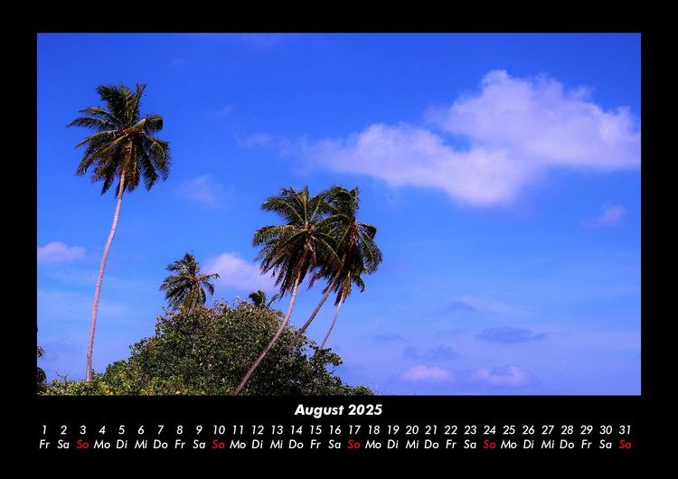 Produktbild: Palmentraum 2025 Fotokalender DIN A3