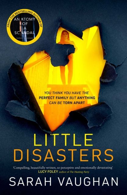 Produktbild: Vaughan, S: Little Disasters