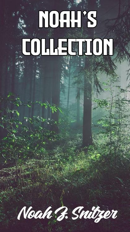 Produktbild: Noah's Collection