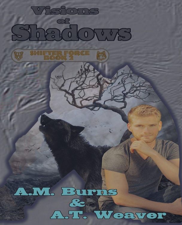 Produktbild: Visions of Shadows