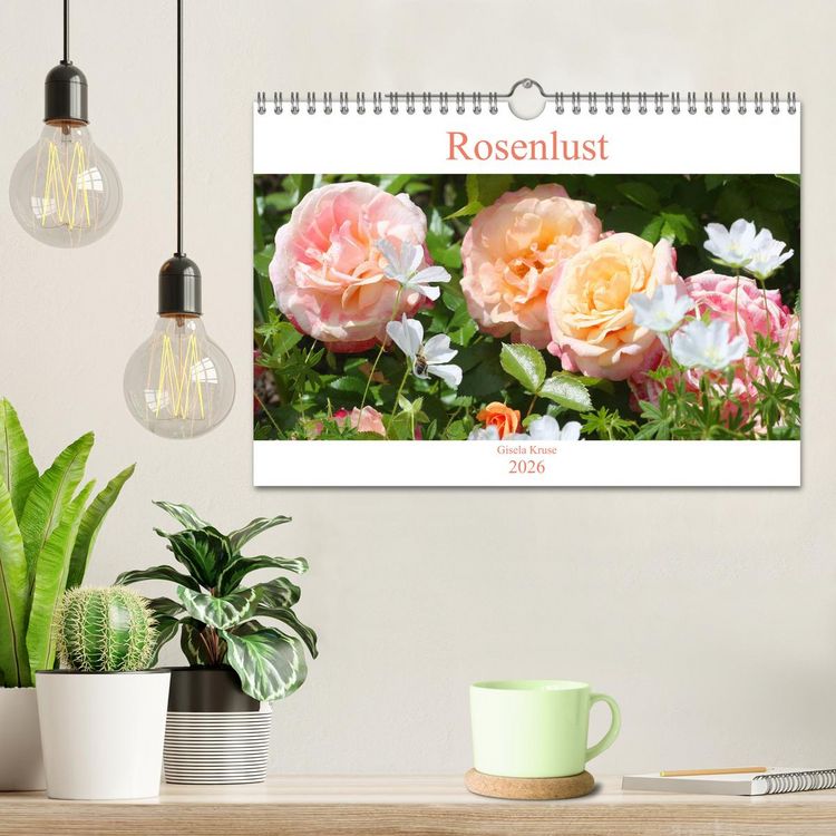 Produktbild: Rosenlust (Wandkalender 2026 DIN A4 quer), CALVENDO Monatskalender