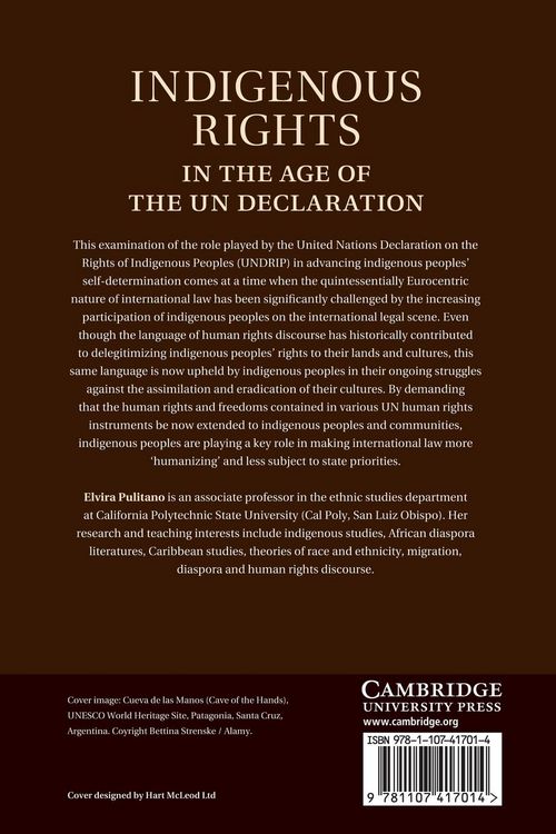 Produktbild: Indigenous Rights in the Age of the Un Declaration