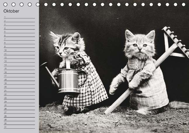 Produktbild: Katzen und Hunde - Nostalgie auf Pfoten (Tischkalender immerw&auml;hrend DIN A5 quer)