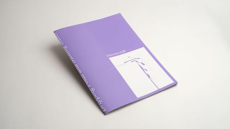 Produktbild: Valentina Jaff&eacute; &ndash; Dripping Folds and Melting States