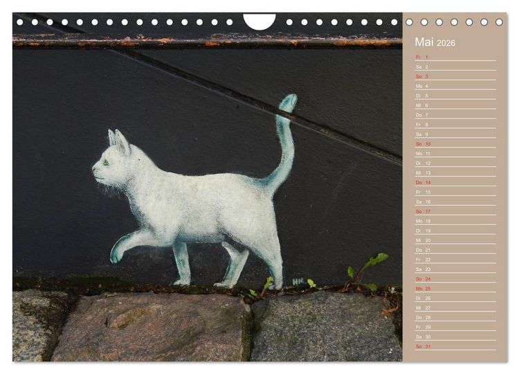 Produktbild: Flensburger Katzen (Wandkalender 2026 DIN A4 quer), CALVENDO Monatskalender
