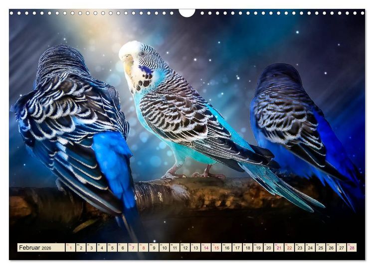 Produktbild: Wundersch&ouml;ner Wellensittich (Wandkalender 2026 DIN A3 quer), CALVENDO Monatskalender