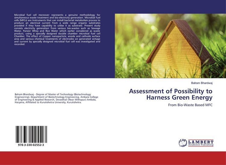 Produktbild: Assessment of Possibility to Harness Green Energy