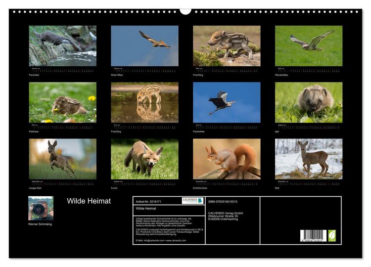 Produktbild: Wilde Heimat (Wandkalender 2026 DIN A2 quer), CALVENDO Monatskalender