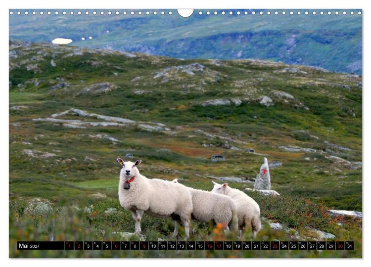 Produktbild: Streifzug durch Norwegens Hardangervidda (Wandkalender 2027 DIN A3 quer), CALVENDO Monatskalender