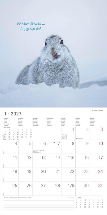 Produktbild: Funny Animals 2027