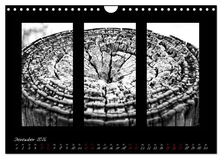 Produktbild: Die Kunst der Natur - Dreifach Stilvoll (Wandkalender 2026 DIN A4 quer), CALVENDO Monatskalender