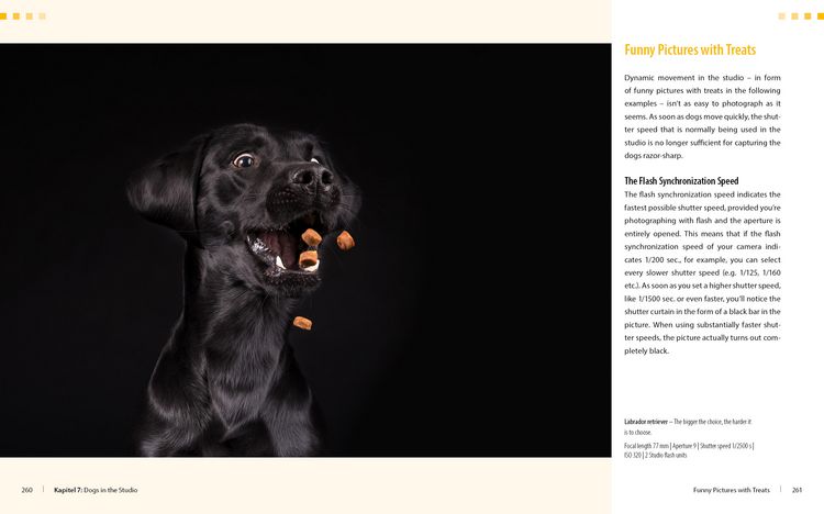 Produktbild: Dog Photography - Shooting with Bow "Wow" Effect