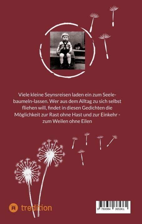 Produktbild: Meine Seyn(e) Reime