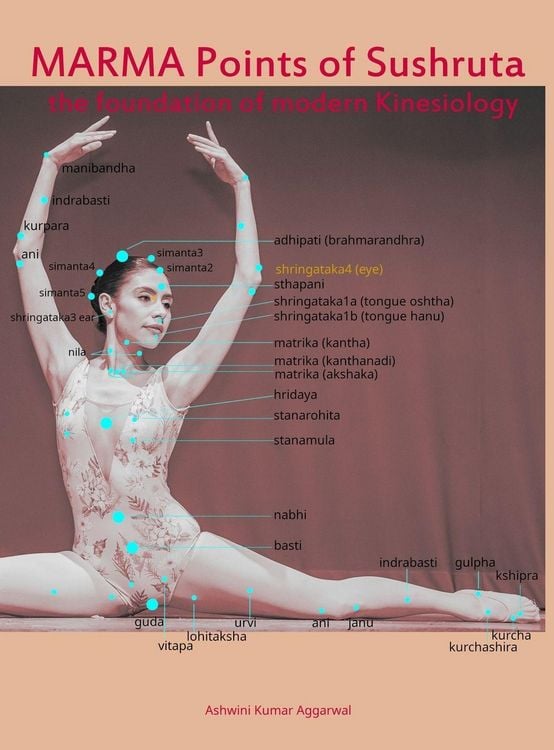 Produktbild: Marma Points of Sushruta the foundation of Modern Kinesiology