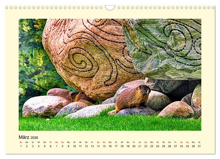 Produktbild: Wild, aber knuffig! (Wandkalender 2026 DIN A3 quer), CALVENDO Monatskalender