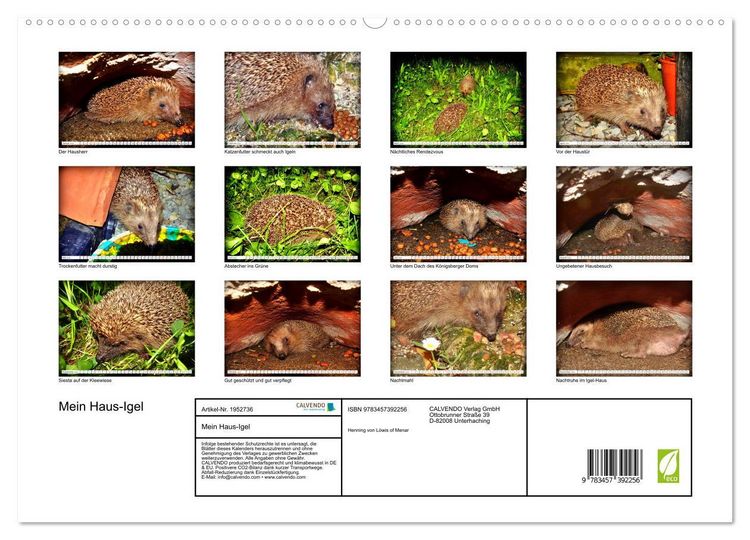 Produktbild: Mein Haus-Igel (hochwertiger Premium Wandkalender 2026 DIN A2 quer), Kunstdruck in Hochglanz