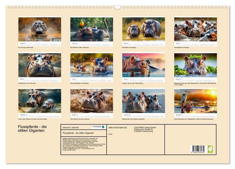 Produktbild: Flusspferde - die stillen Giganten (Wandkalender 2026 DIN A2 quer), CALVENDO Monatskalender