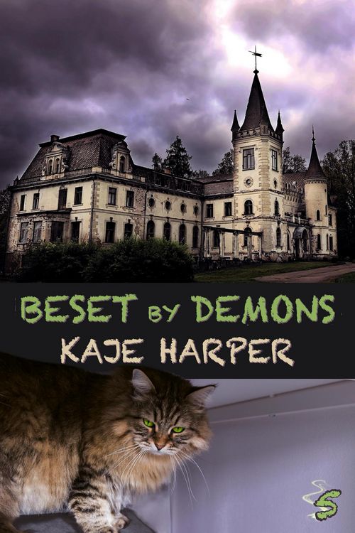 Produktbild: Beset by Demons (Necromancer, #5)