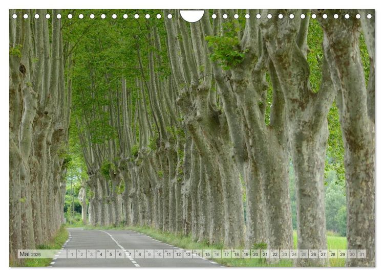 Produktbild: Provence von Christian Heeb (Wandkalender 2026 DIN A4 quer), CALVENDO Monatskalender