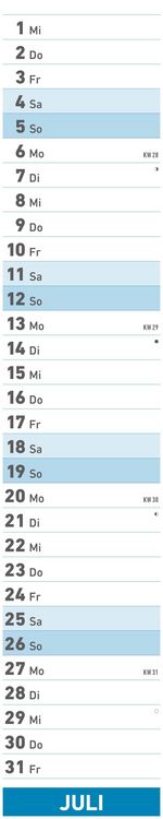 Superplaner 2026 - Streifenkalender 17x85 cm - mit Ringbindung - viel Platz für Notizen - Langplaner - Wandkalender - Küchenkalender - Alpha Edition