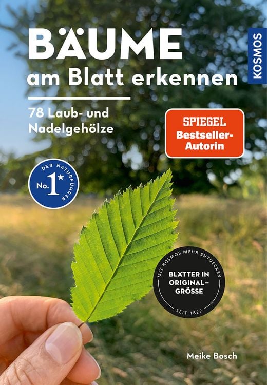 Produktbild: B&auml;ume am Blatt erkennen - 78 Laub- und Nadelgeh&ouml;lze. Bl&auml;tter in Originalgr&ouml;&szlig;e