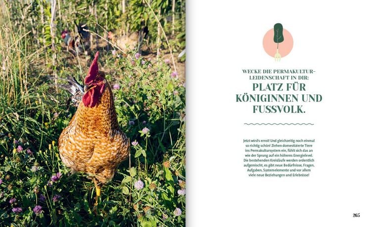 Produktbild: Permakultur - Dein Garten. Deine Revolution.