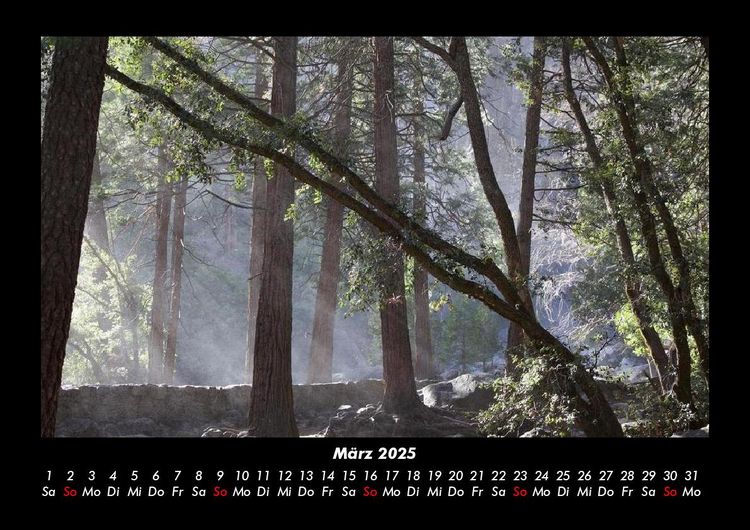 Produktbild: Bilder der Natur 2025 Fotokalender DIN A3