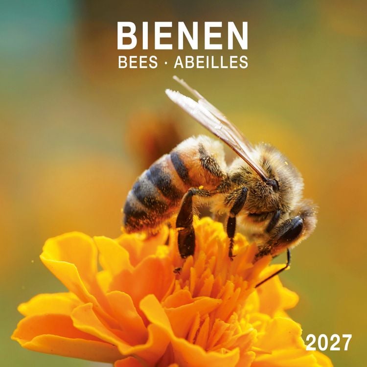Produktbild: Bienen / Bees 2027