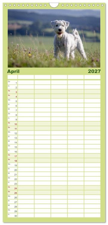Produktbild: Familienplaner 2027 - Schnauzer... von Zwergen und Riesen 2027 mit 5 Spalten (Wandkalender, 21 x 45 cm) CALVENDO