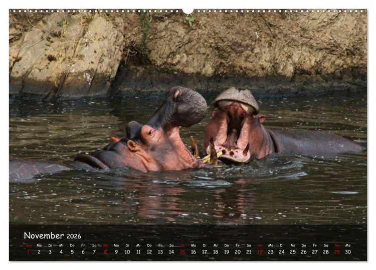 Produktbild: Wildes Ostafrika - Tansania und Kenia hautnah (Wandkalender 2026 DIN A2 quer), CALVENDO Monatskalender