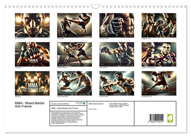 Produktbild: MMA - Mixed Martial Arts France (Calendrier mural 2026 DIN A3 vertical), CALVENDO calendrier mensuel