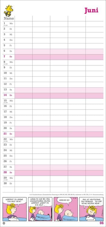 Produktbild: Peanuts Familienplaner 2026